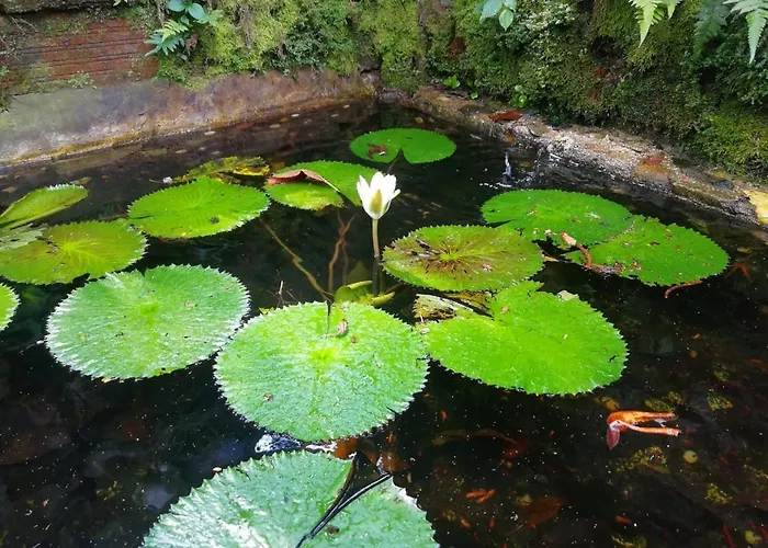 The Secret Buddha